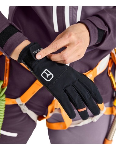 Ръкавици - Ortovox - Tour Light Glove Womens - Winetasting